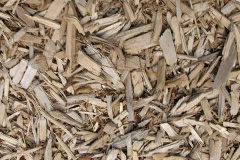 biomass boilers Shawbury